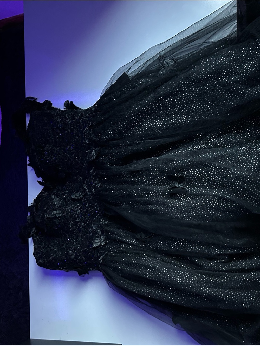 Black Sparkle Tulle Ball Gown